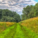 35 Fotozirkel Mannheim e.V. Manfred Eimers